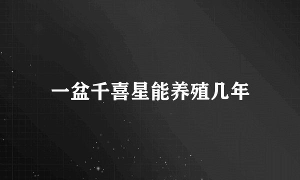 一盆千喜星能养殖几年