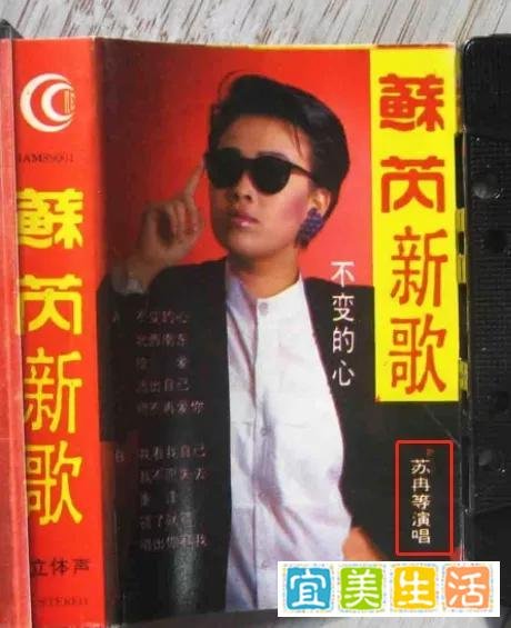 为了山寨苏芮取名叫苏丙，那英当年为了红有多搞笑？