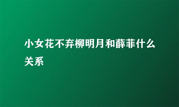 小女花不弃柳明月和薛菲什么关系