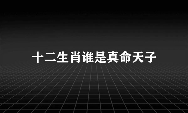 十二生肖谁是真命天子