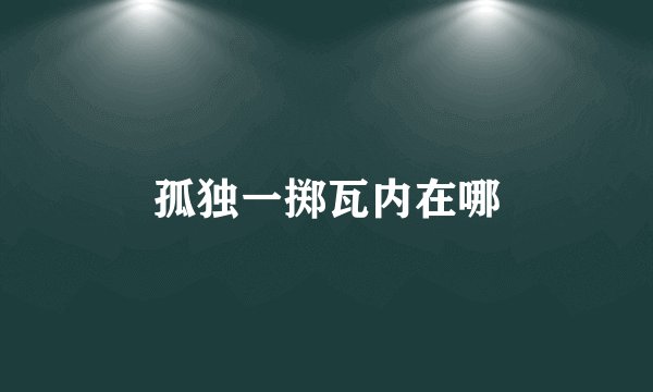 孤独一掷瓦内在哪