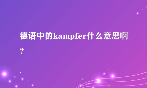 德语中的kampfer什么意思啊？