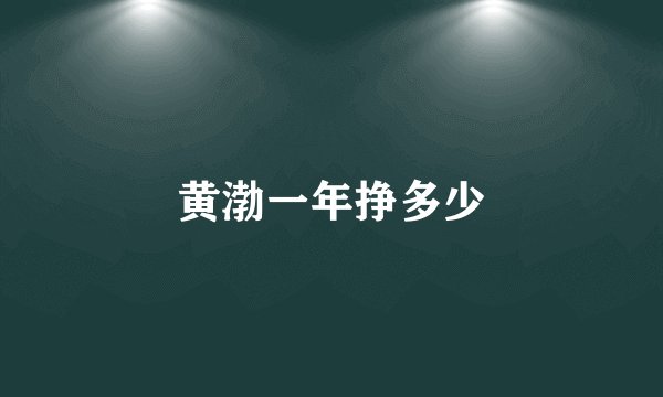 黄渤一年挣多少