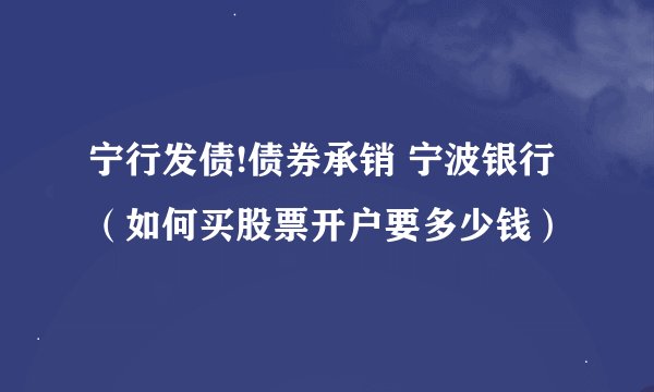 宁行发债!债券承销 宁波银行（如何买股票开户要多少钱）