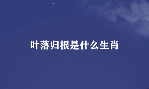 叶落归根是什么生肖