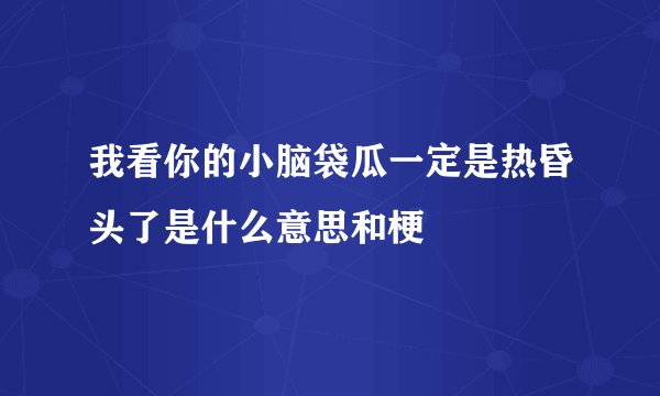 我看你的小脑袋瓜一定是热昏头了是什么意思和梗
