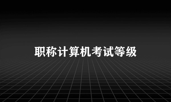 职称计算机考试等级