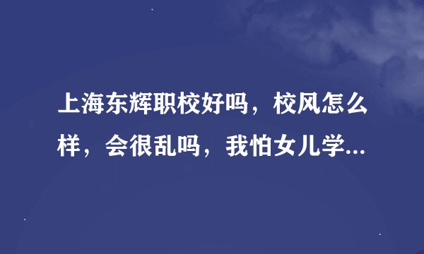 上海东辉职校好吗，校风怎么样，会很乱吗，我怕女儿学坏？毕业出来是中专文凭还是初中文凭？