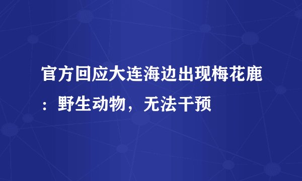官方回应大连海边出现梅花鹿：野生动物，无法干预