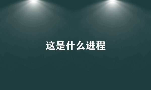这是什么进程