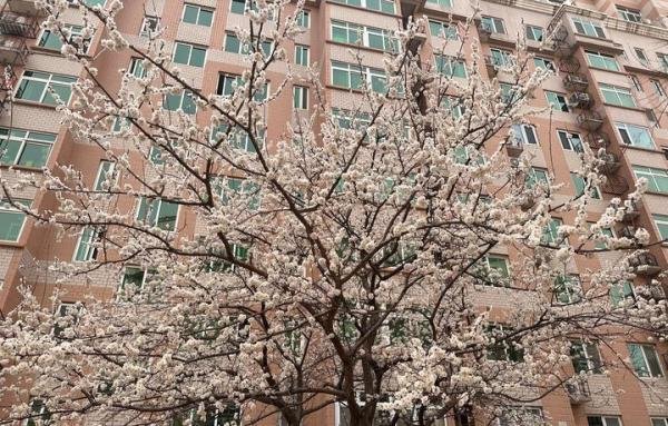 那就分手吧，没什么大不了