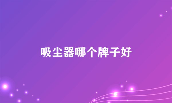 吸尘器哪个牌子好