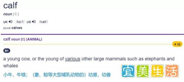小象跌落瀑布死亡 曾有8头大象死于这个地狱瀑布