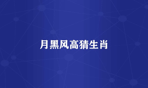 月黑风高猜生肖