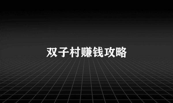双子村赚钱攻略