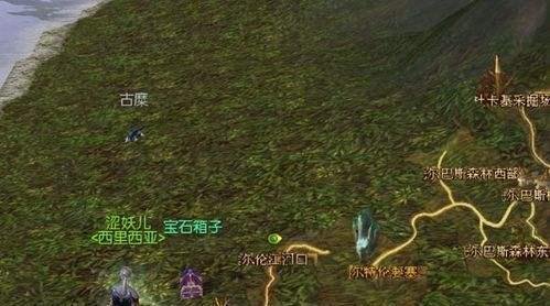 怎样完成《永恒之塔》丢失了的结婚戒指任务