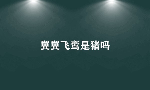 翼翼飞鸾是猪吗