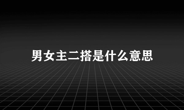 男女主二搭是什么意思