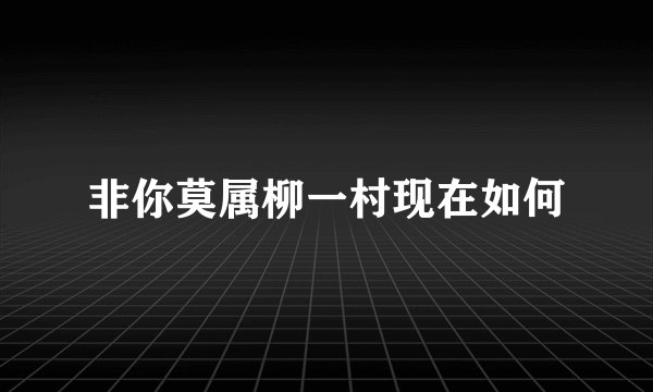 非你莫属柳一村现在如何