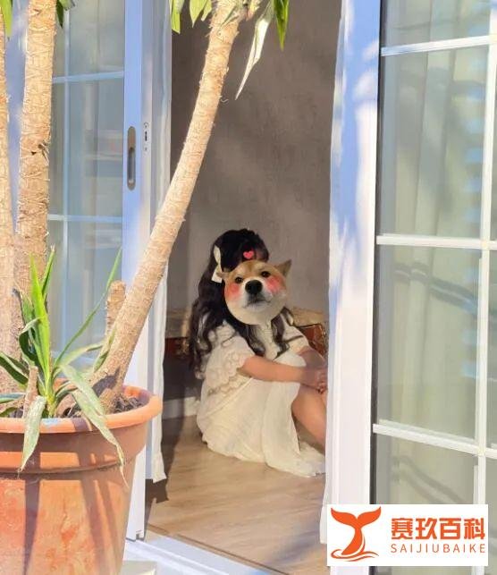 小团团晒“露脸”照片,这次真的没戴口罩,粉丝直呼老婆太美了