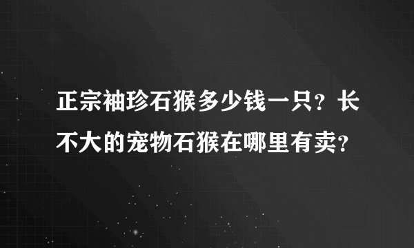 正宗袖珍石猴多少钱一只？长不大的宠物石猴在哪里有卖？