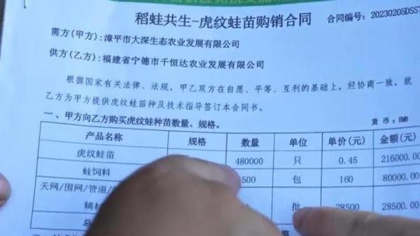 村民93万尾蛙苗因“有可能”是禁养的牛蛙被镇政府强制消杀，官方回应