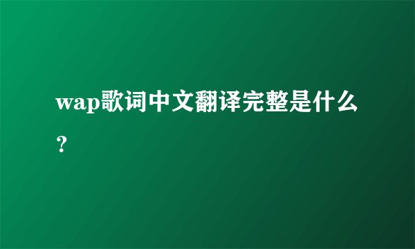 wap歌词中文翻译完整是什么？