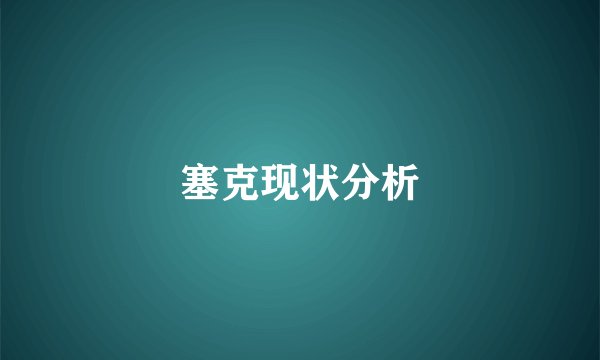 塞克现状分析