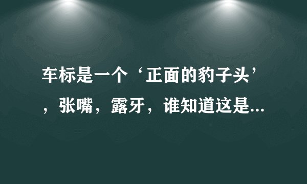 车标是一个‘正面的豹子头’，张嘴，露牙，谁知道这是哪里的什么车啊？