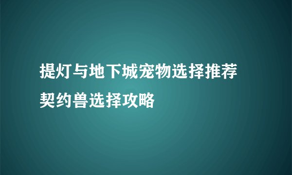 提灯与地下城宠物选择推荐 契约兽选择攻略