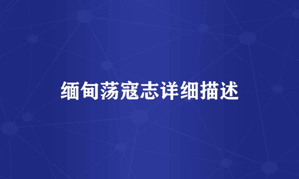 缅甸荡寇志详细描述