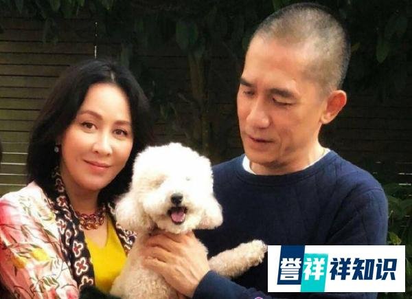 梁朝伟私生子升级！被曝出轨女星程潇，女方回应，更多细节被扒
