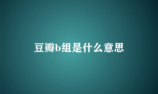 豆瓣b组是什么意思