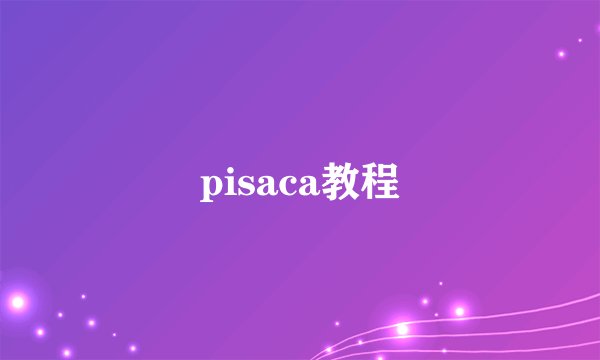 pisaca教程