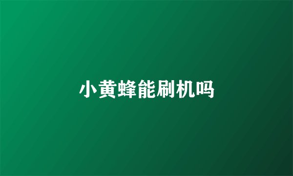 小黄蜂能刷机吗