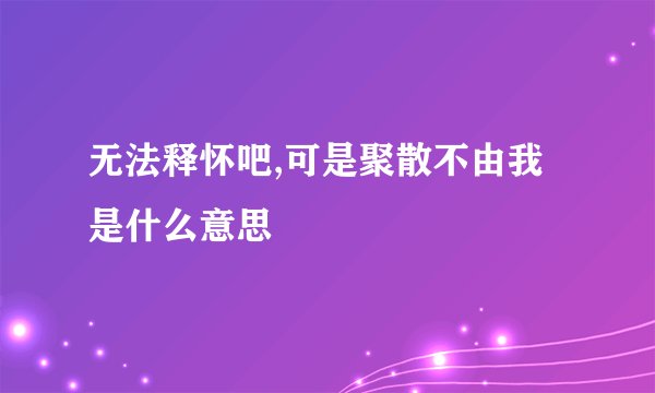 无法释怀吧,可是聚散不由我是什么意思