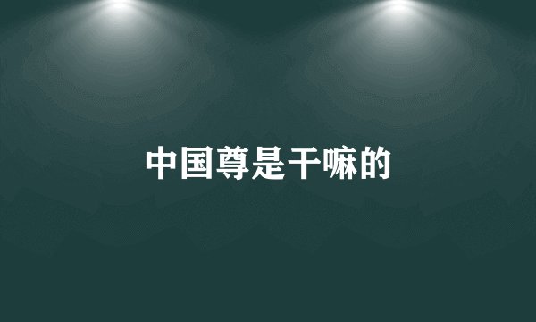 中国尊是干嘛的