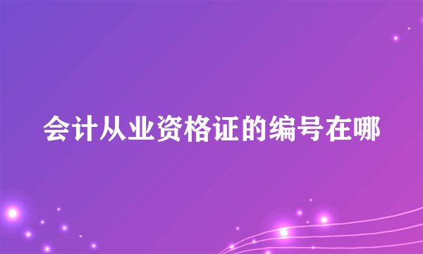 会计从业资格证的编号在哪