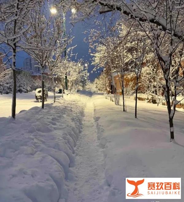 黑龙江鹤岗遭遇特大暴雪。鹤岗挺住!