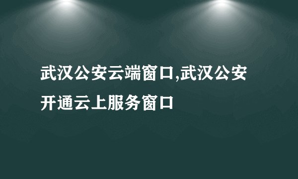 武汉公安云端窗口,武汉公安开通云上服务窗口