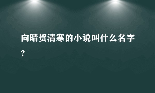 向晴贺清寒的小说叫什么名字?