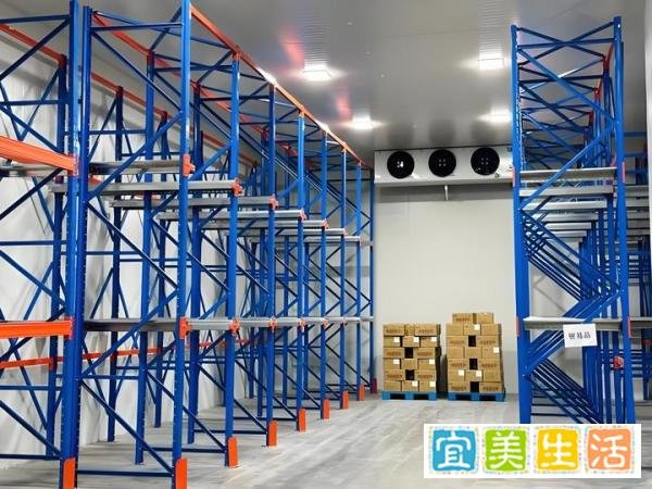 建立大型物流冷库，需要投资多少钱？?