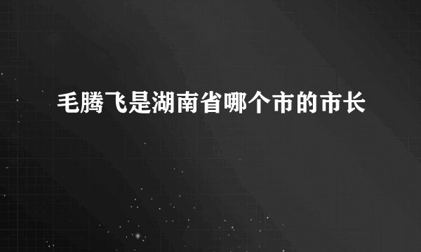 毛腾飞是湖南省哪个市的市长