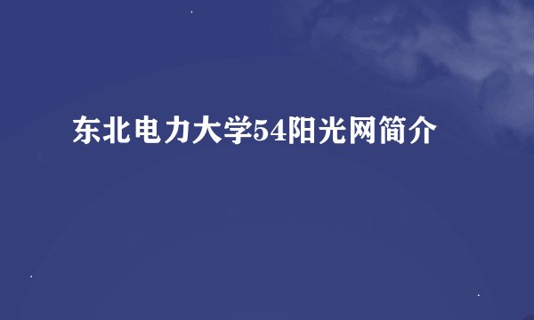 东北电力大学54阳光网简介