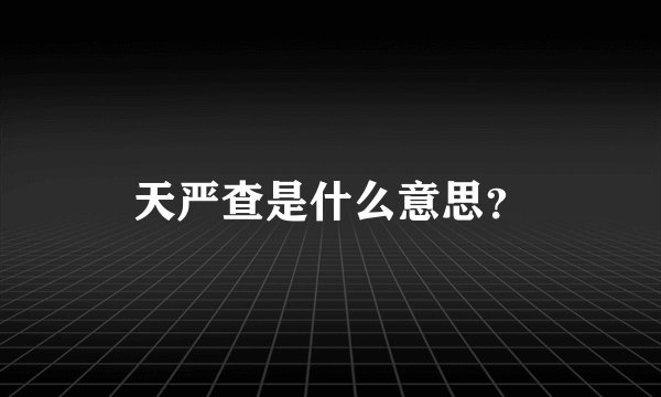 天严查是什么意思？