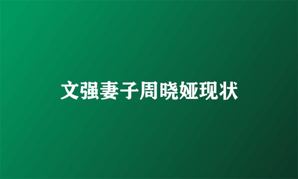 文强妻子周晓娅现状