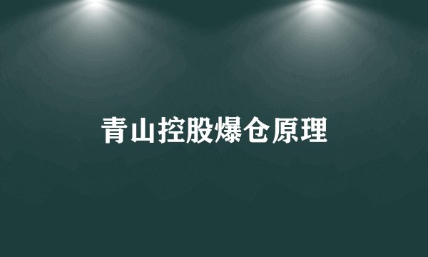 青山控股爆仓原理