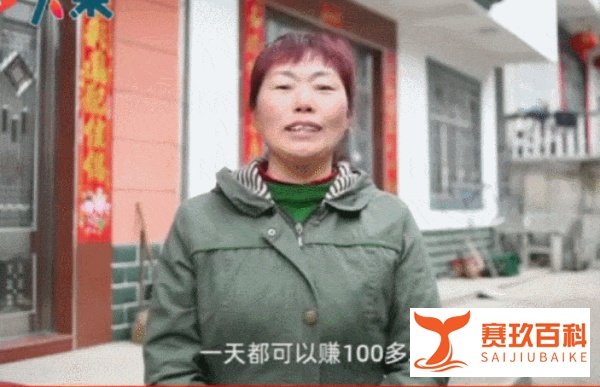 女生辞职回乡当茶农为村里增收 这是咋情况?