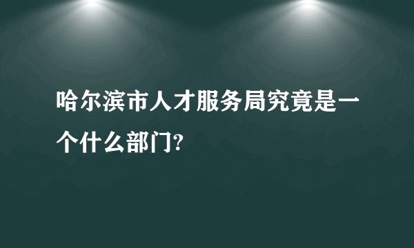 哈尔滨市人才服务局究竟是一个什么部门?