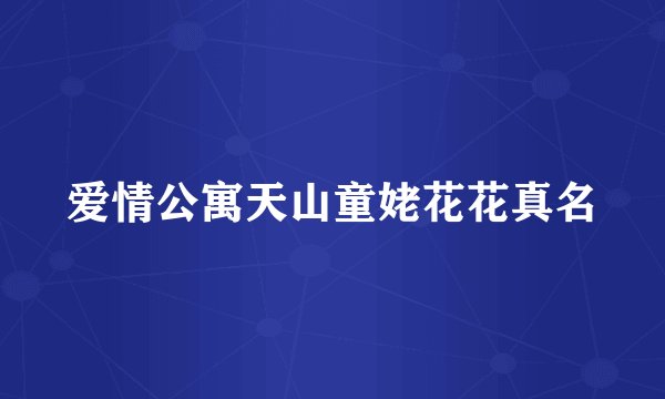 爱情公寓天山童姥花花真名